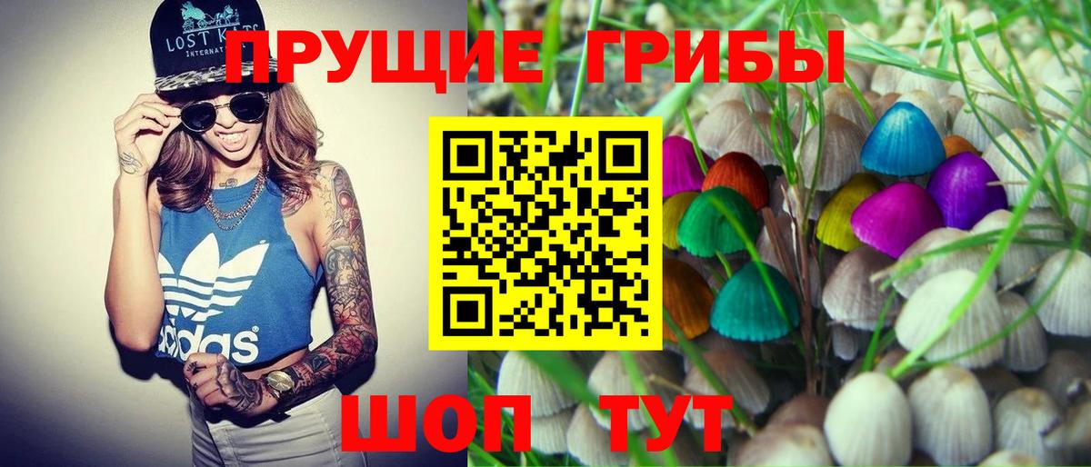 Галлюциногенные грибы мицелий  Вход с VPN  Пыть-Ях 